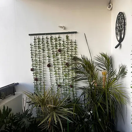 דירה Makenzy 2 Bedrooms For Rent *